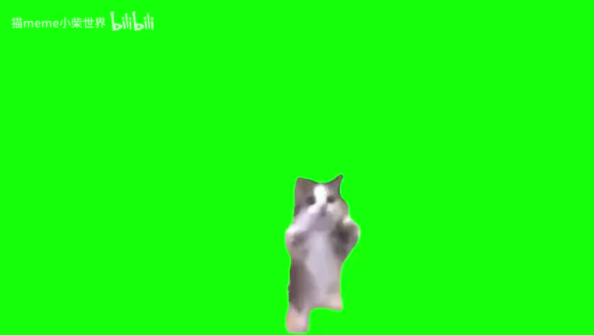 24.happy猫（有声）