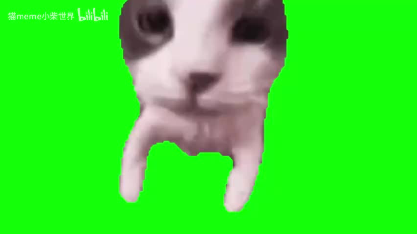 27.亲亲猫猫头（有声）