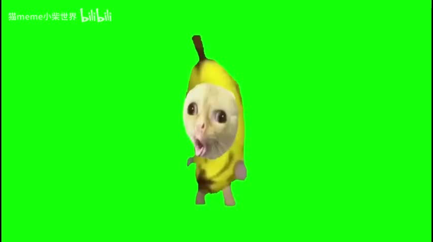 94.呕吐香蕉猫（有声）（凑时间，有黑屏）