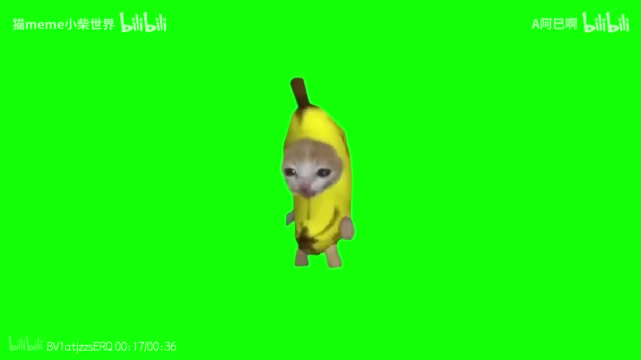 香蕉猫（定格）（他人水印）