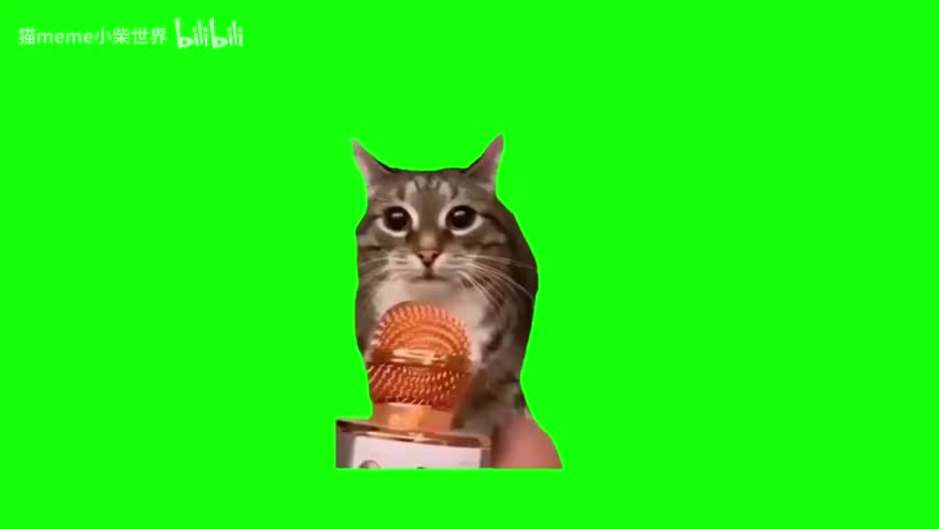 63.采访猫（有声）