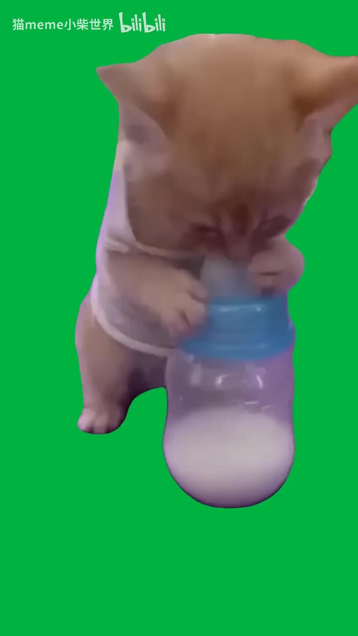 14.喝奶小猫（有声）