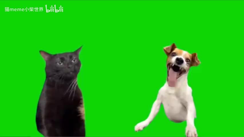 64.哈哈狗嘲笑黑猫（合成）