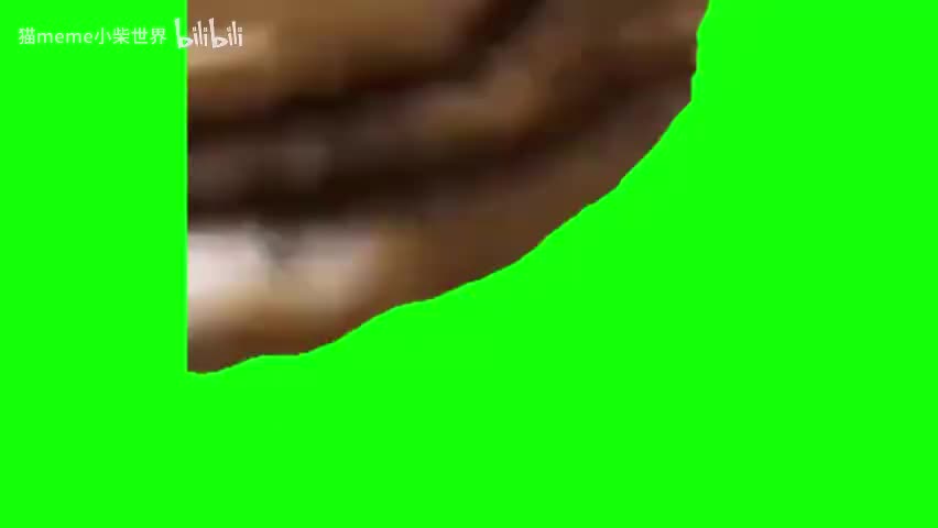 69.芝士猫（有声）