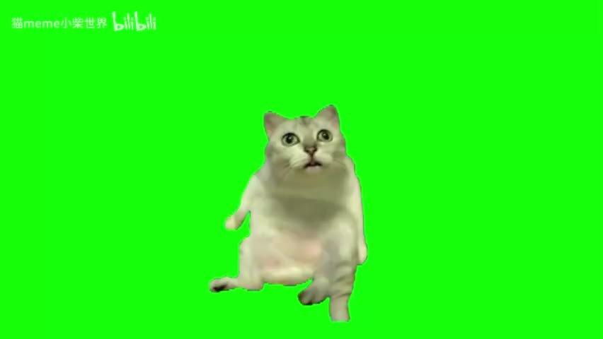 19.mur猫（有声）