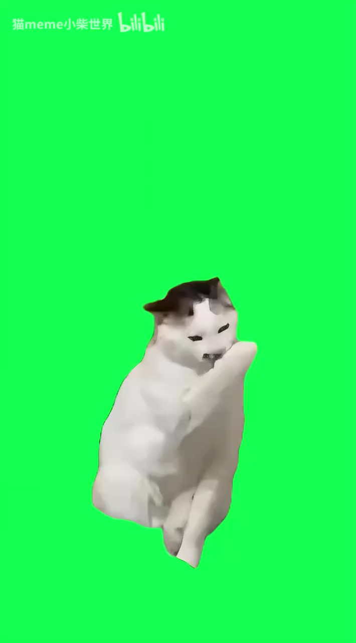 5.月光下的凤尾猫（有声）