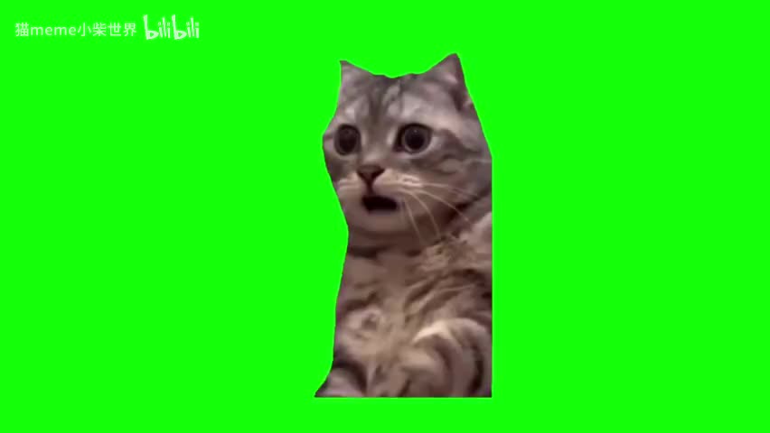 57.震惊猫（有声）