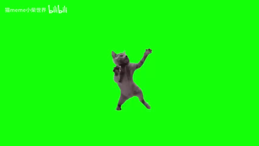 33.劲舞猫（有声）