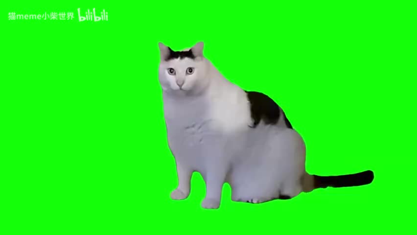 84.huh猫（扭曲声音）