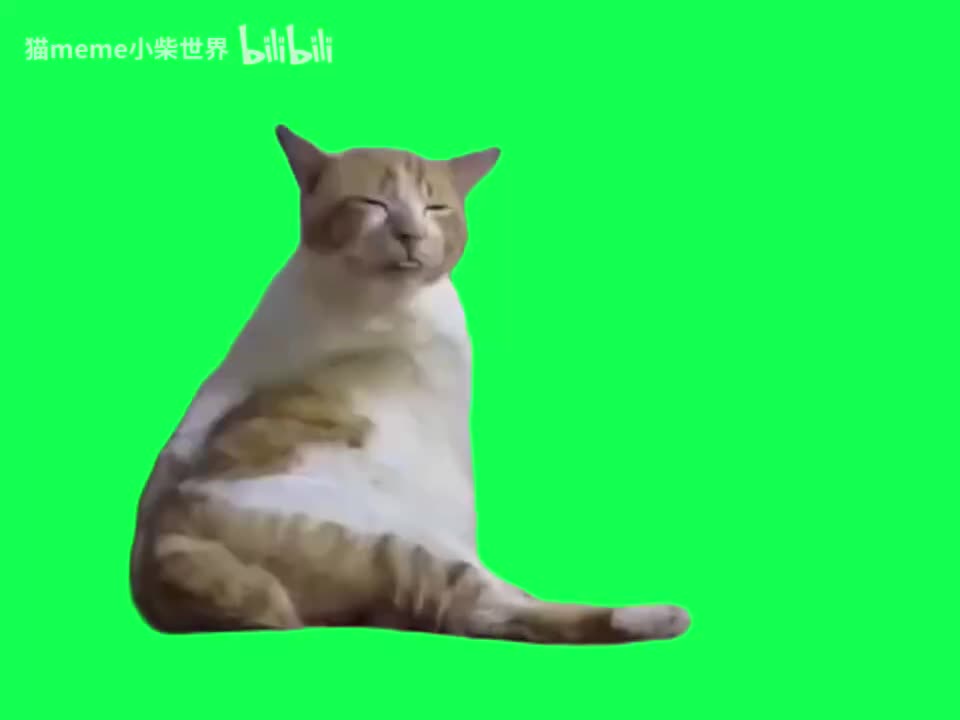 6.扣屁股小猫(有声)