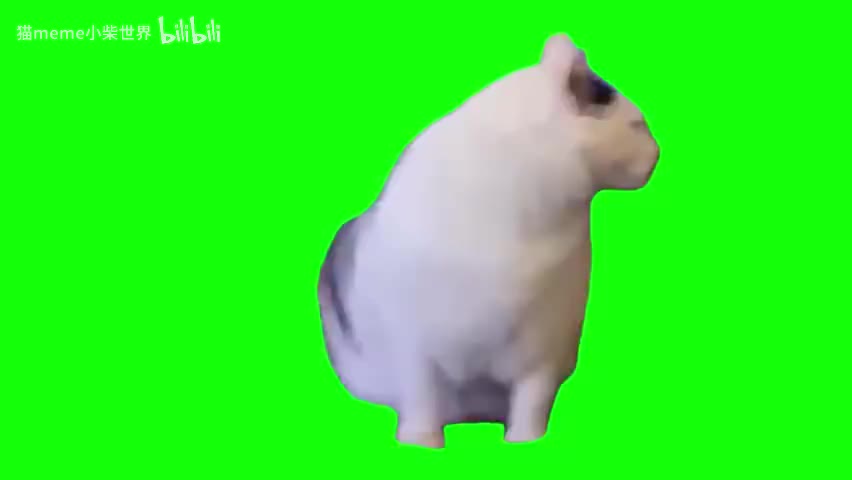 83.huh猫（有声）