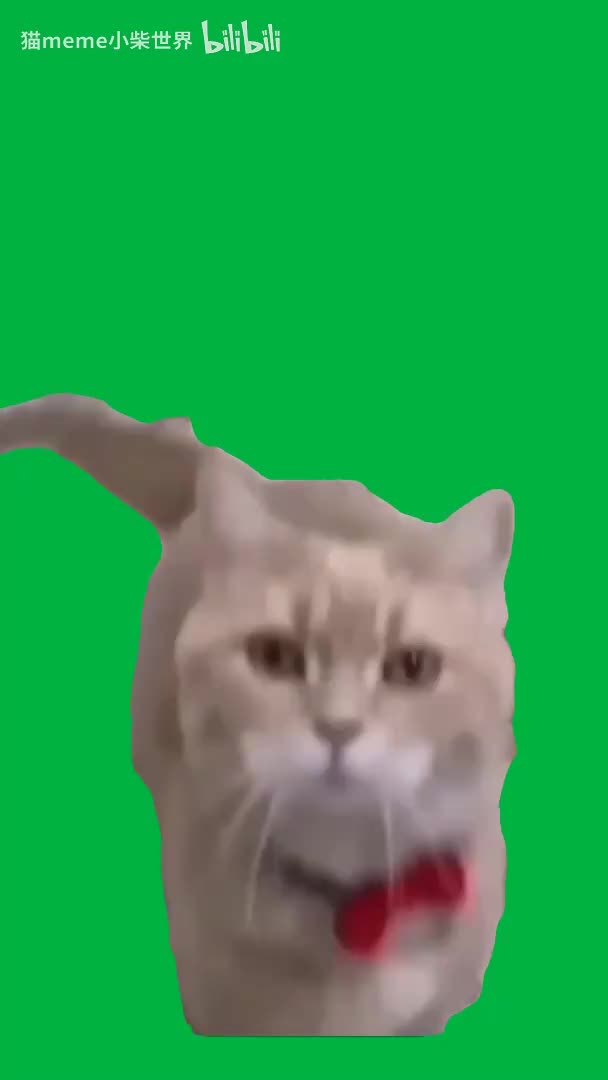 11.拜拜猫（有声）