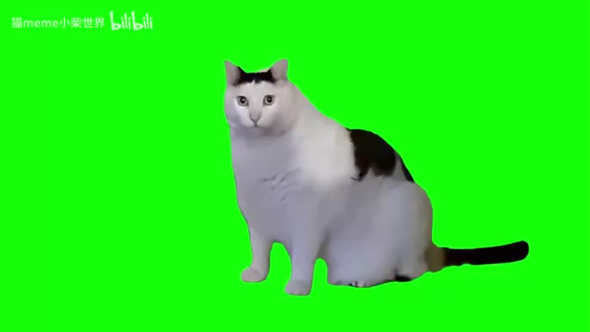 47.huh猫与C4炸药（合成）