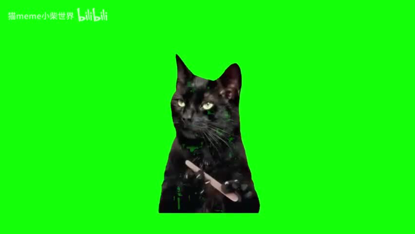 34.黑猫磨指甲（有声）