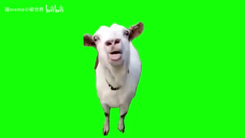 51.吐舌头山羊（有声）