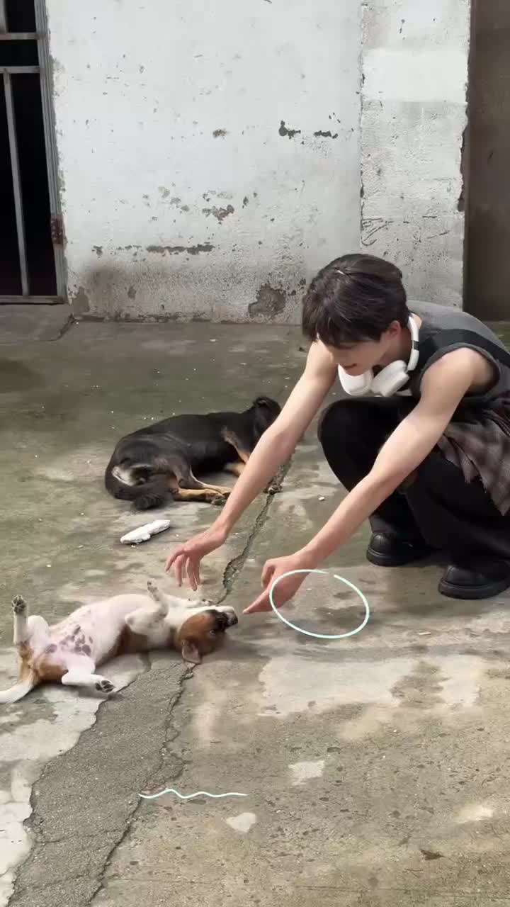 24.8.7 vlog.12☆|unboxing06★超长夏日下饭vlog加开箱📦！