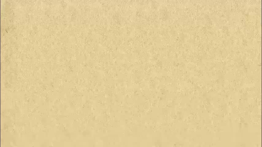 8. 名词易混点（一）