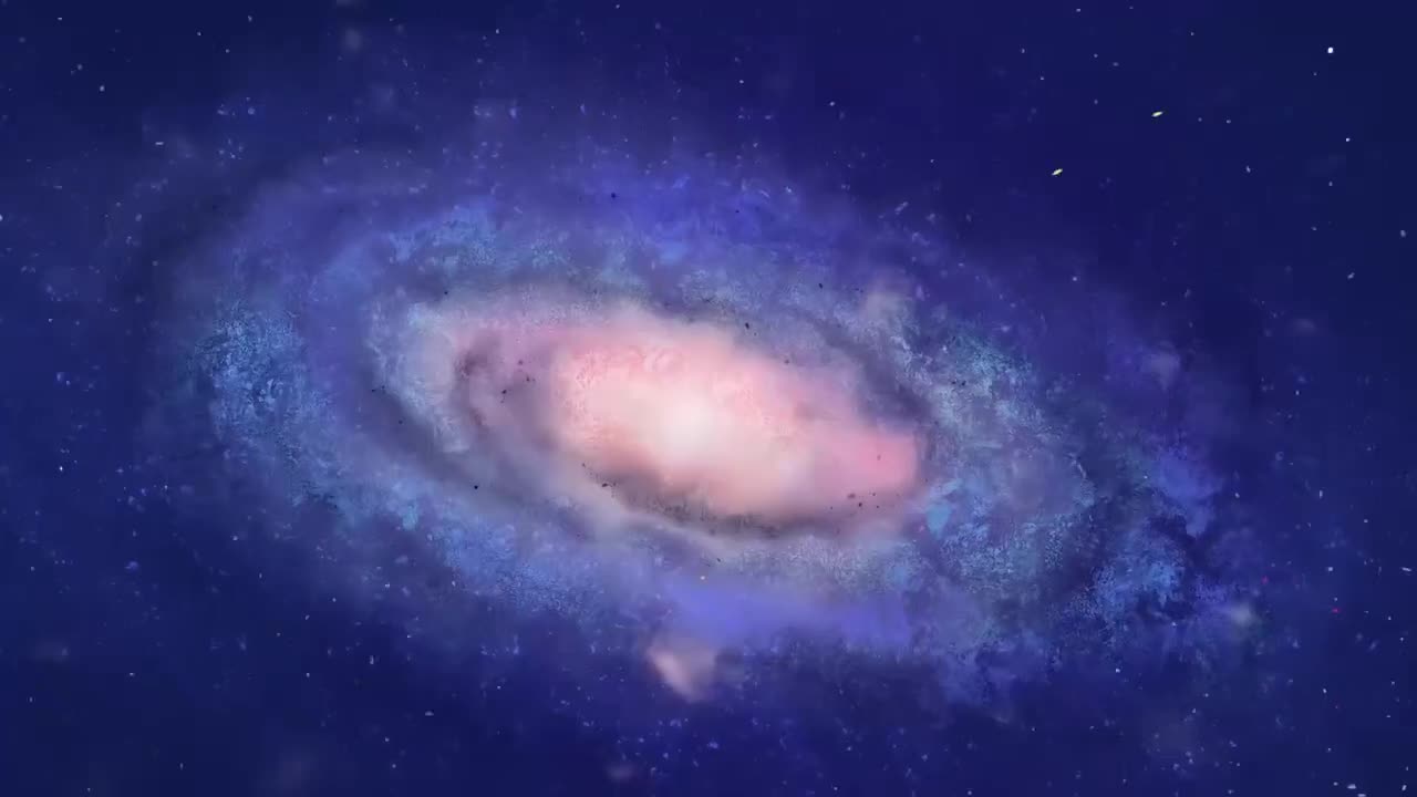 8 校园生物大搜索
