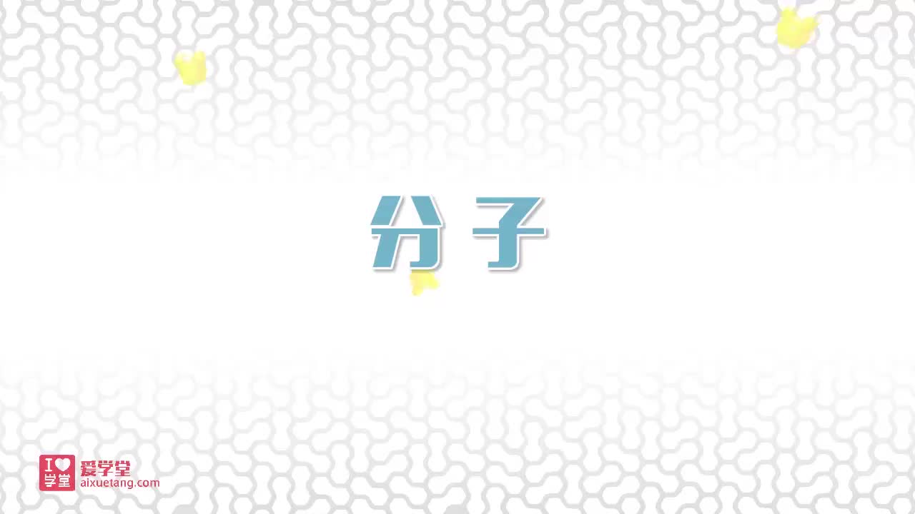 4.分子