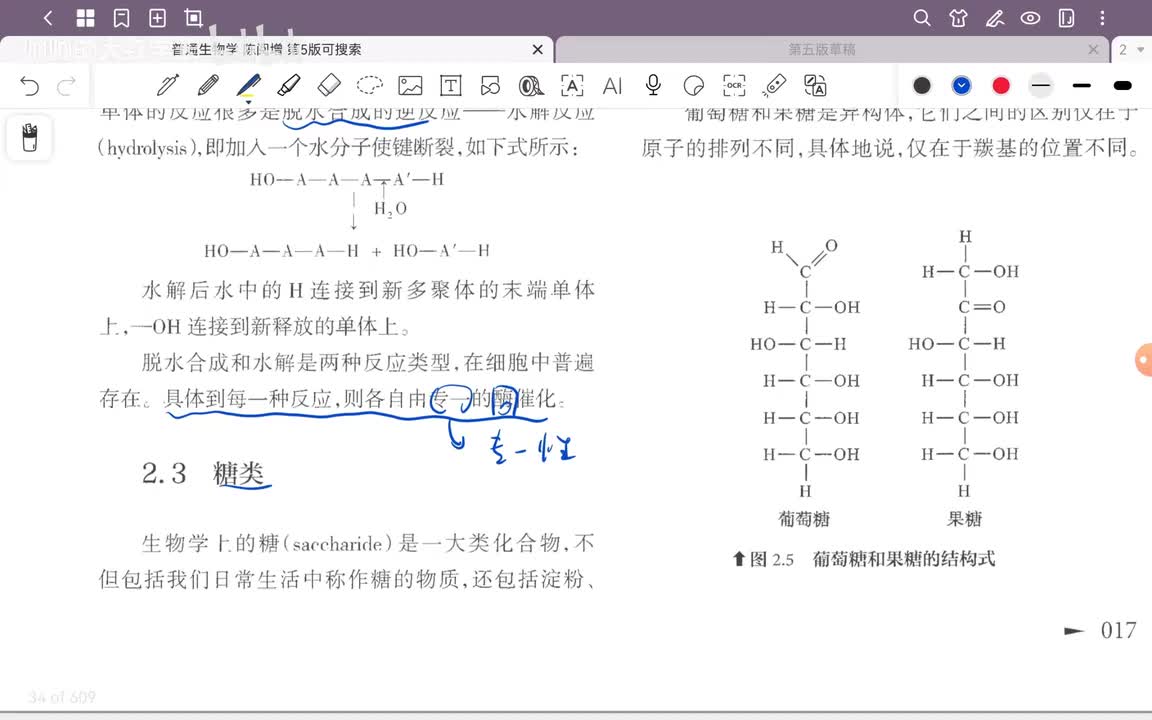 4.第2章 生命的化学基础(2)