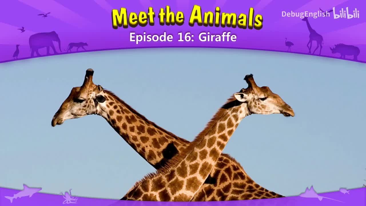016.Giraffe