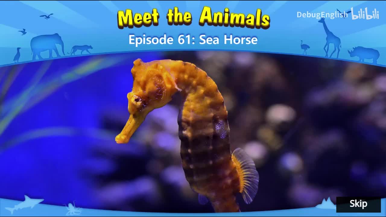 061.Sea Horse