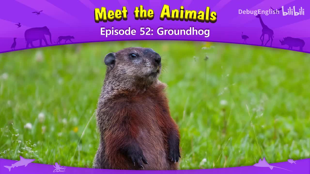 052.Groundhog.1080p