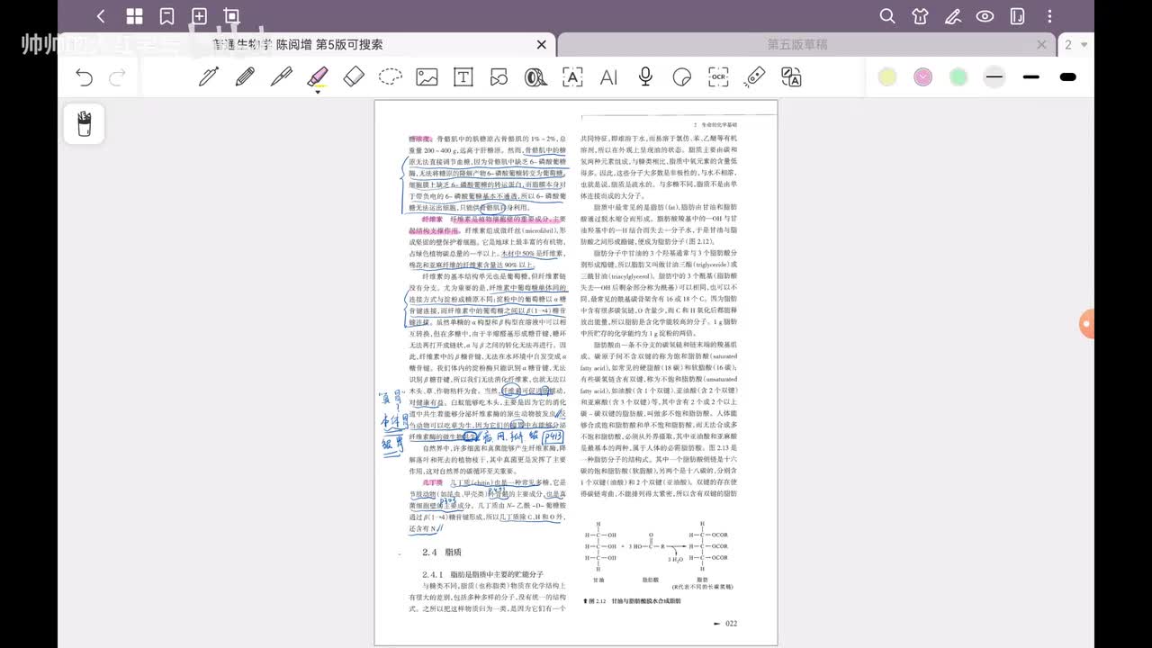 5.第2章 生命的化学基础(3)