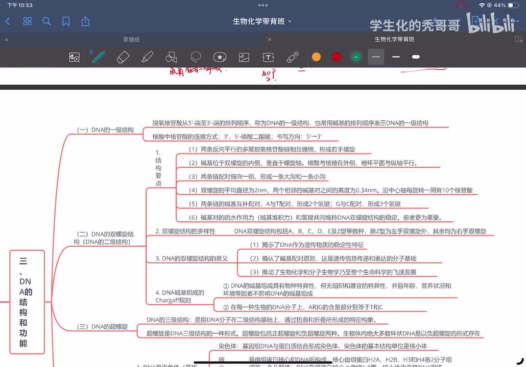 09：核酸的结构和功能02