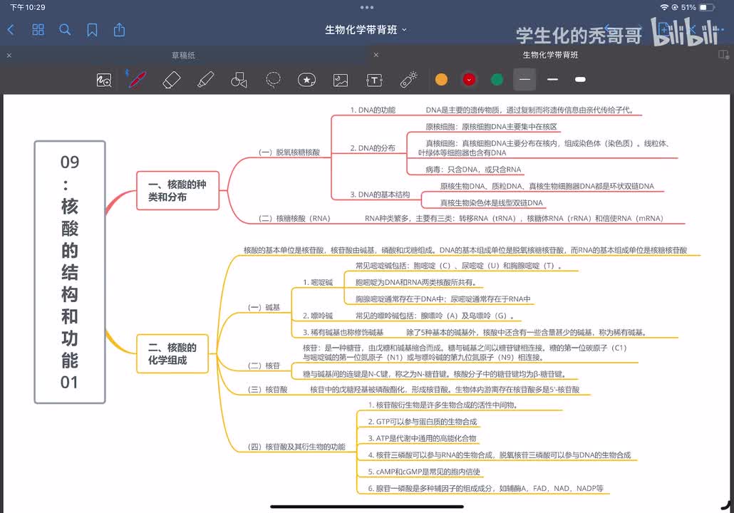09：核酸的结构和功能01