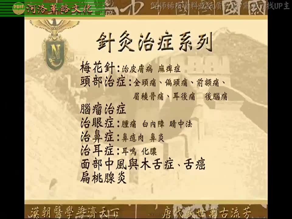 针灸大成08集_05【6针灸治症系列】梅花针（治皮肤病麻痹症）+头部与脑瘤治症