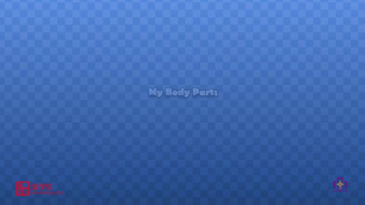 【003】My Body Parts
