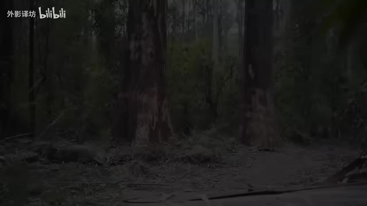 62-C++多线程详解-Threads in C++