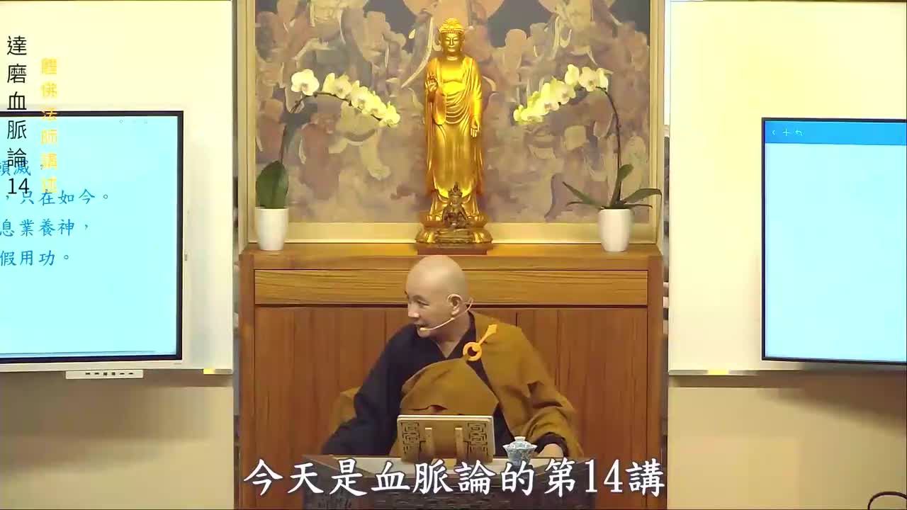 第14集《达摩血脉论》体佛法师