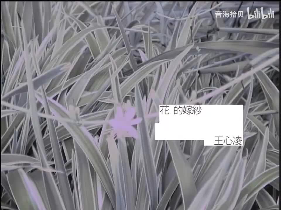 花的嫁纱 - 王心凌（《天国的嫁衣》）