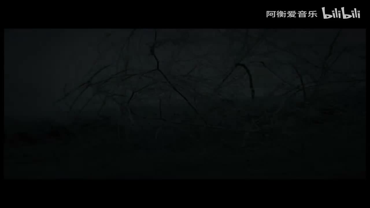 刀郎 - 披着羊皮的狼