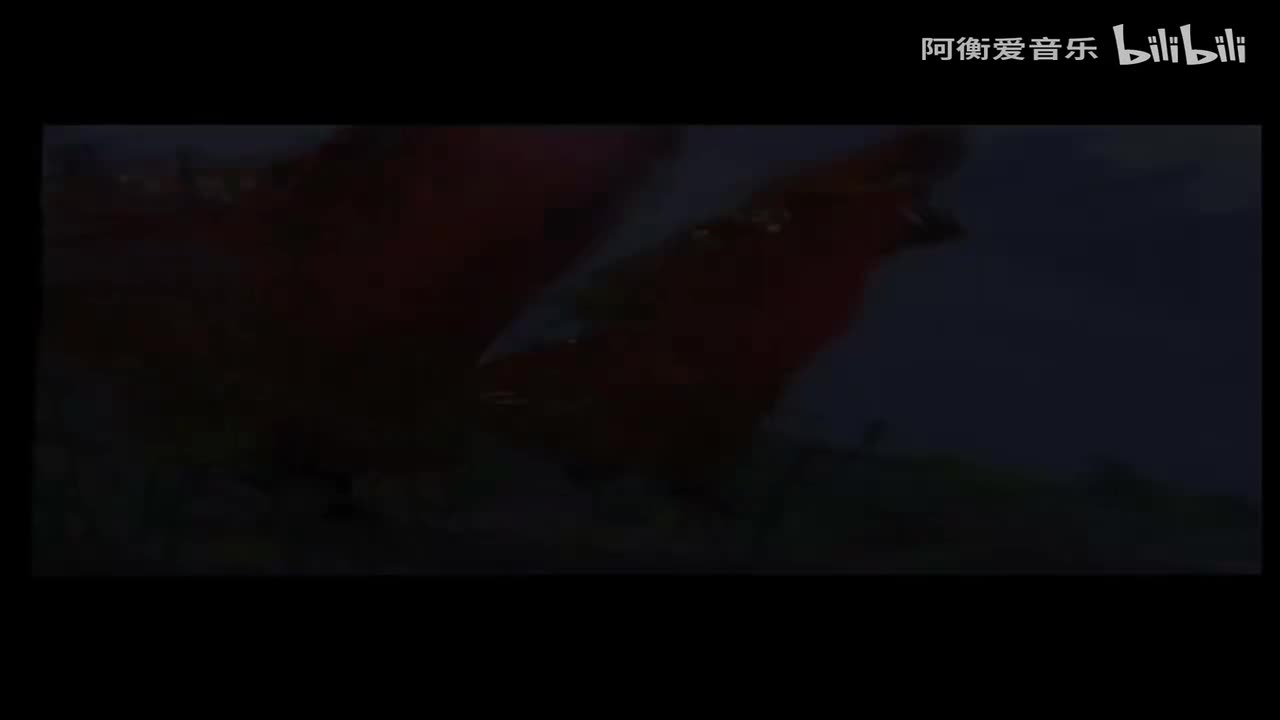 刀郎 - 花儿为什么这样红mp4