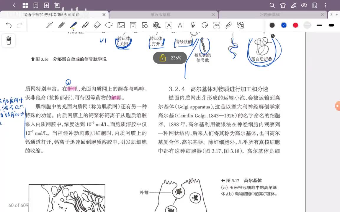 12.第3章 细胞结构与物质交换和信息传递(6)