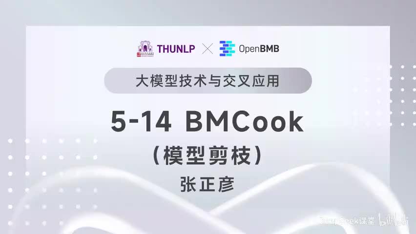 【清华大模型教程】 BMCook--模型剪枝