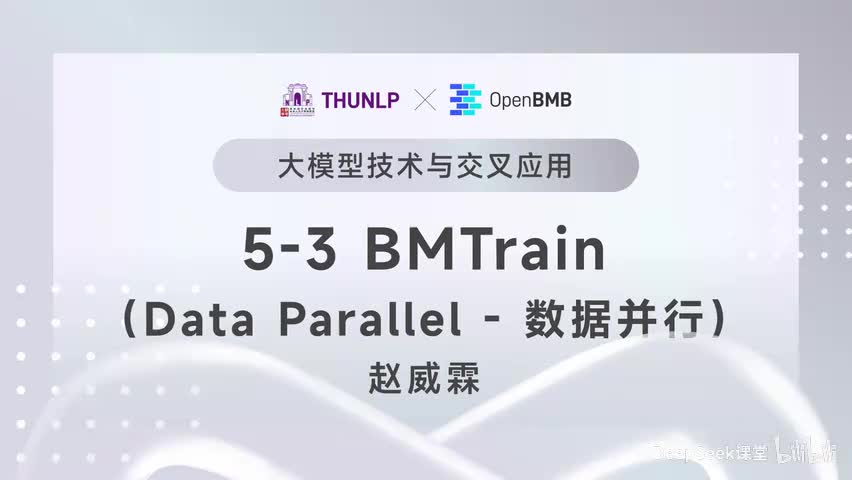 【清华大模型教程】BMTrain--Data Parallel (数据并行)