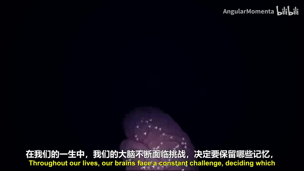 【英语】17 大脑如何选择记住什么