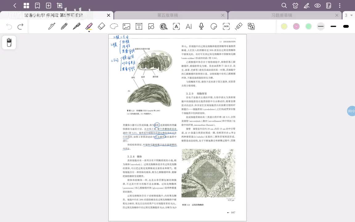 13.第3章 细胞结构与物质交换和信息传递(7)