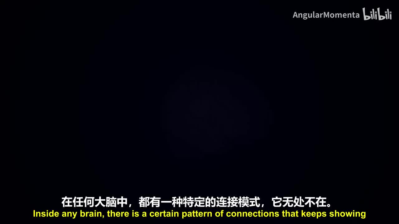 【英语】19 你的大脑连接方式的惊人之处