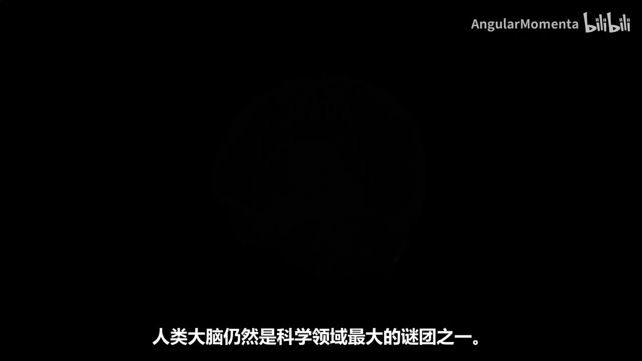 【汉语】15 神经科学的核心方程