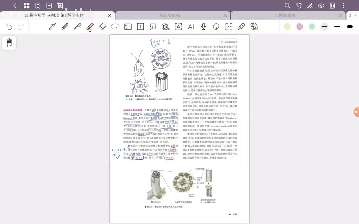 15.第3章 细胞结构与物质交换和信息传递(9)