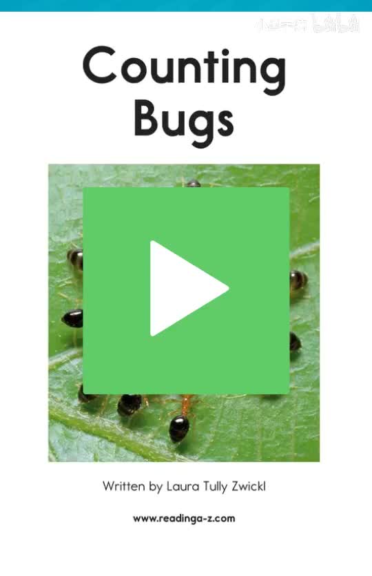 AA-41Counting Bugs