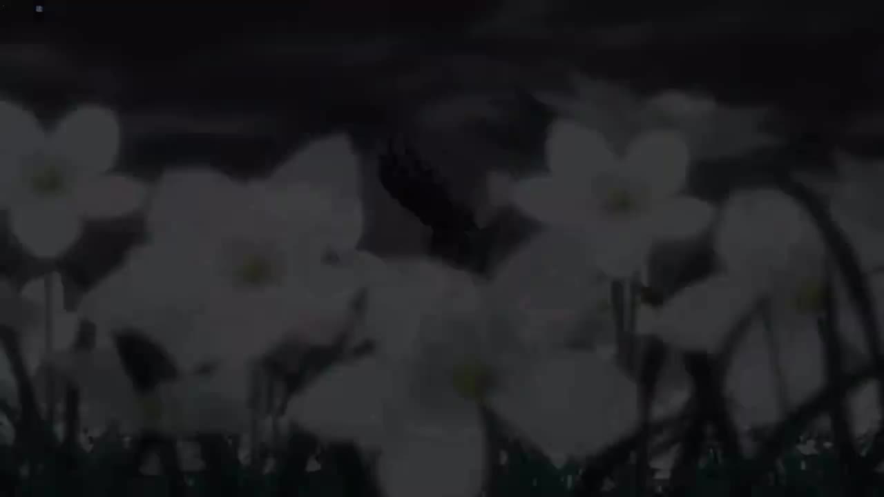 钢炼FA 4K 31-35集 粤语版