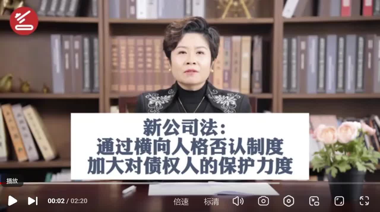 [8.18.1]--8.2024新公司法穿透规则