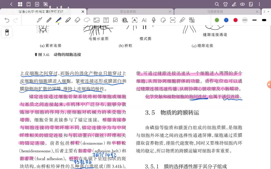 18.第3章 细胞结构与物质交换和信息传递(12)