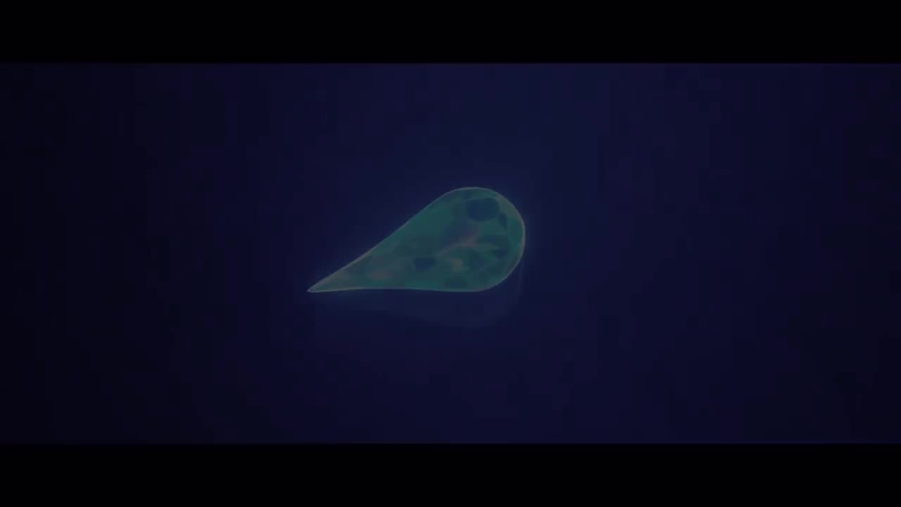 8（女）【过场动画】你我却形同陌路